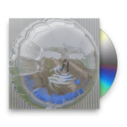 Packshot: Dari Bay – Surprise Wish CD | Relix