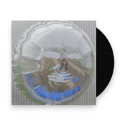 Packshot: Dari Bay – Surprise Wish (Ultra Clear LP Vinyl) Vinyl LP | Relix