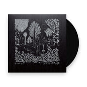 Packshot: Dead Can Dance – Garden of the Arcane Delights + Peel Sessions EP Vinyl LP | Relix