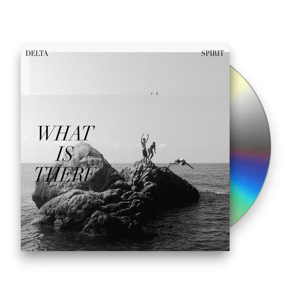 Packshot: Delta Spirit – What Is There CD | Relix