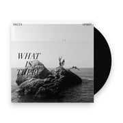 Packshot: Delta Spirit – What Is There Vinyl LP | Relix