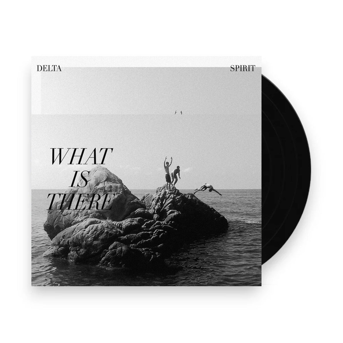 Packshot: Delta Spirit – What Is There Vinyl LP | Relix
