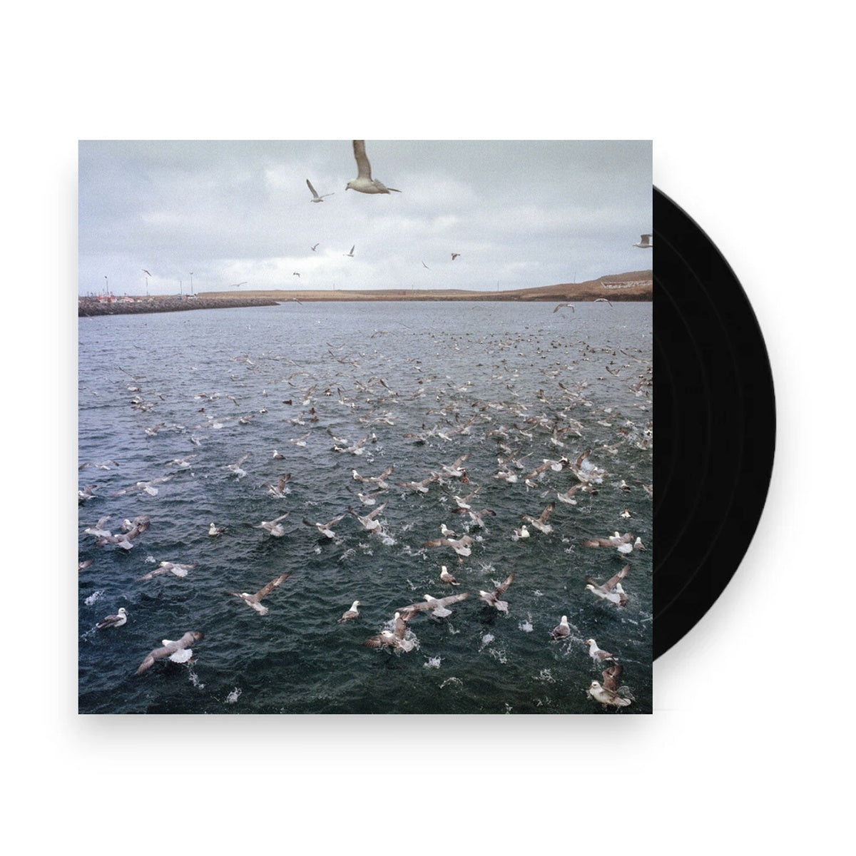Packshot: Docile Bodies – Rest (LP Vinyl) Vinyl LP | Relix