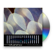 Packshot: Dummy – Do You Love The Color Of The Sky (CD) CD | Relix