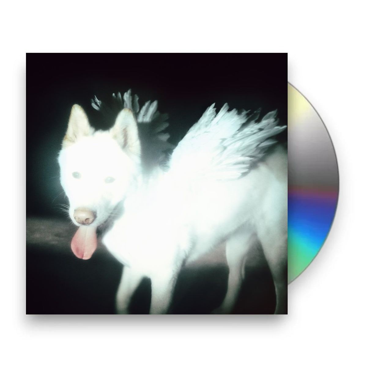 Packshot: Fat Dog – Cancel Me CD | Relix