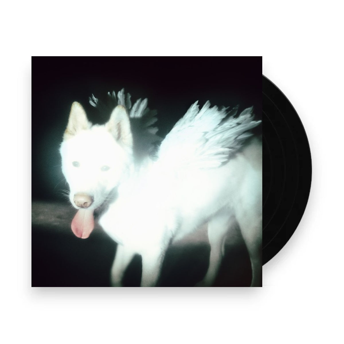 Packshot: Fat Dog – Cancel Me Vinyl LP | Relix