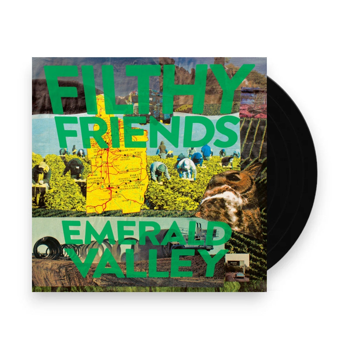 Packshot: Filthy Friends – Emerald Valley Vinyl LP | Relix