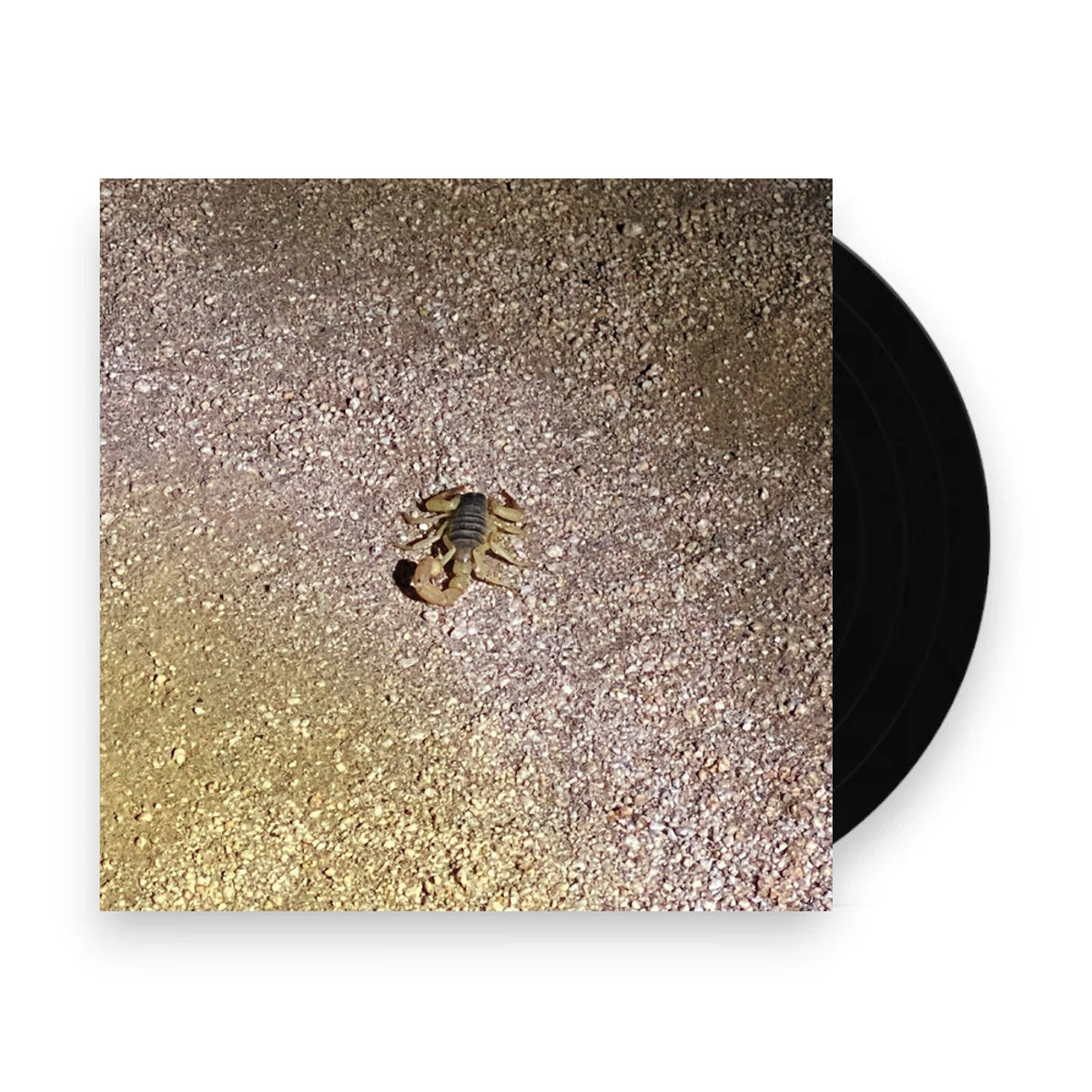 Packshot: Frances Chang – Been Thinking Bout Confession - Purple (Clear LP Vinyl) Vinyl LP | Relix