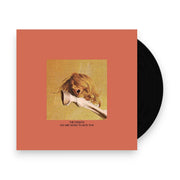 Packshot: Frights – You Are Going To Hate This (Red & Yellow Splatter LP Vinyl) Vinyl LP | Relix