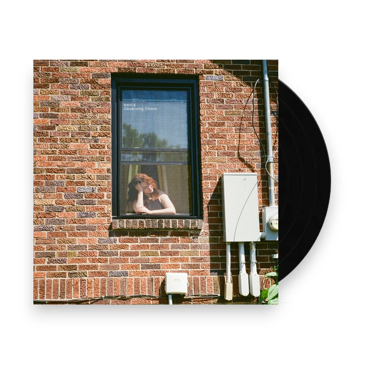 Packshot: Gayle – Observing Chaos (Brwn, Colored LP Vinyl) Vinyl LP | Relix