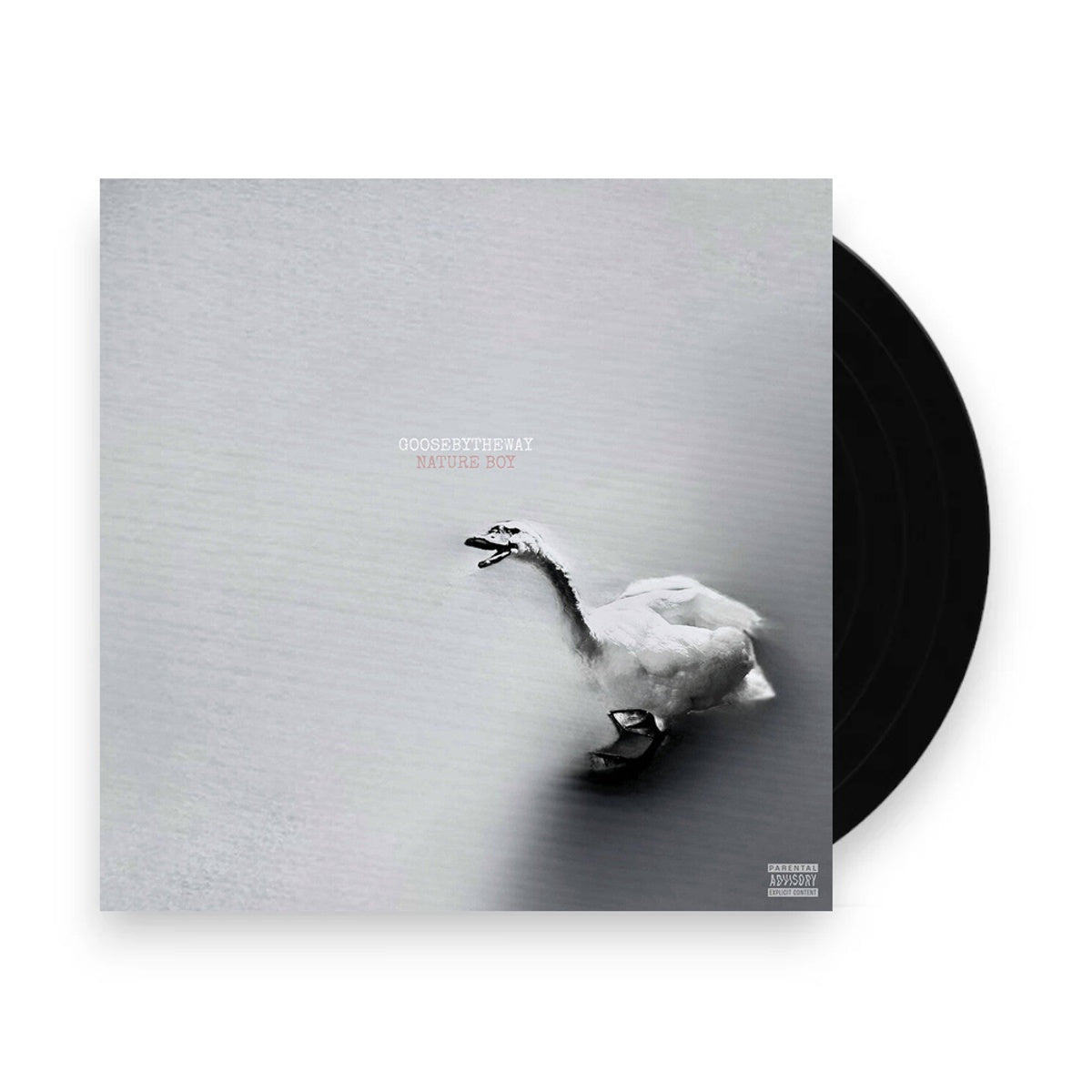 Packshot: Goosebytheway – Nature Boy (White LP Vinyl) Vinyl LP | Relix