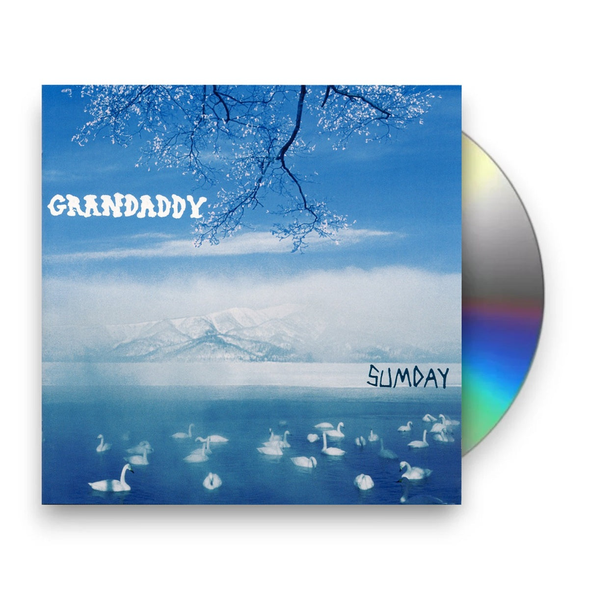 Packshot: Grandaddy – Sumday CD | Relix