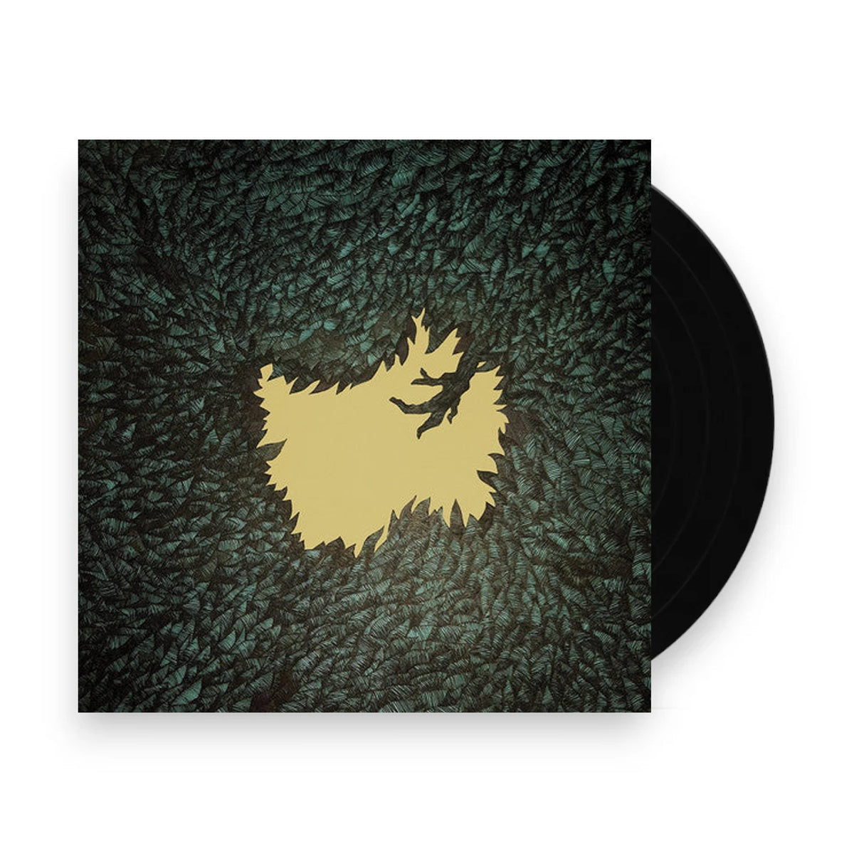 Packshot: Hop Along – Get Disowned Vinyl LP | Relix