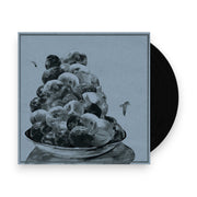 Packshot: Hop Along – Painted Shut Vinyl LP | Relix