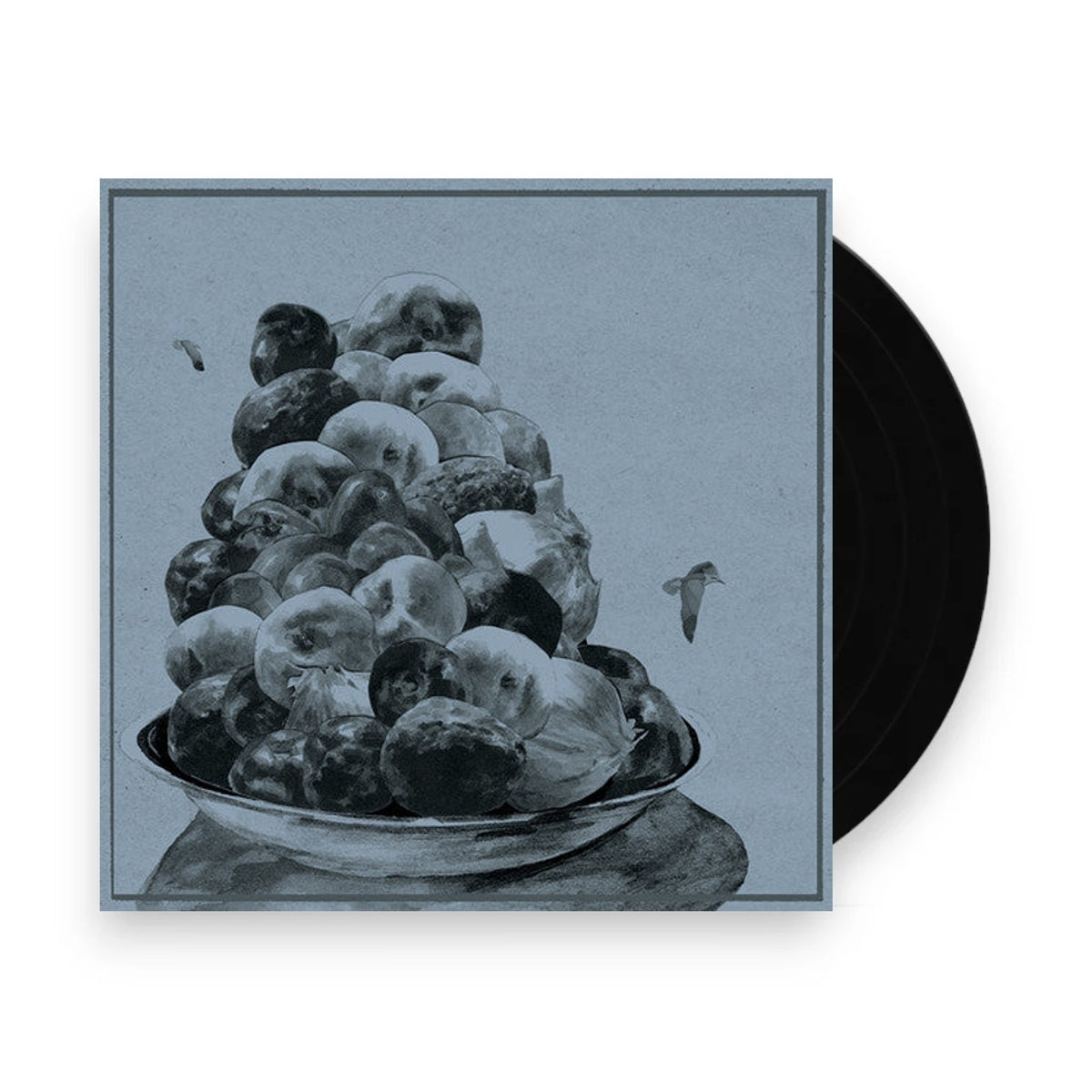 Packshot: Hop Along – Painted Shut Vinyl LP | Relix