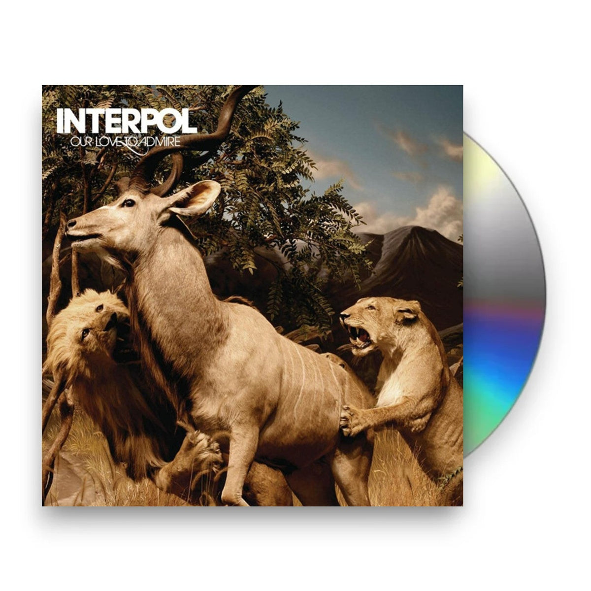 Packshot: Interpol – Our Love To Admire CD | Relix