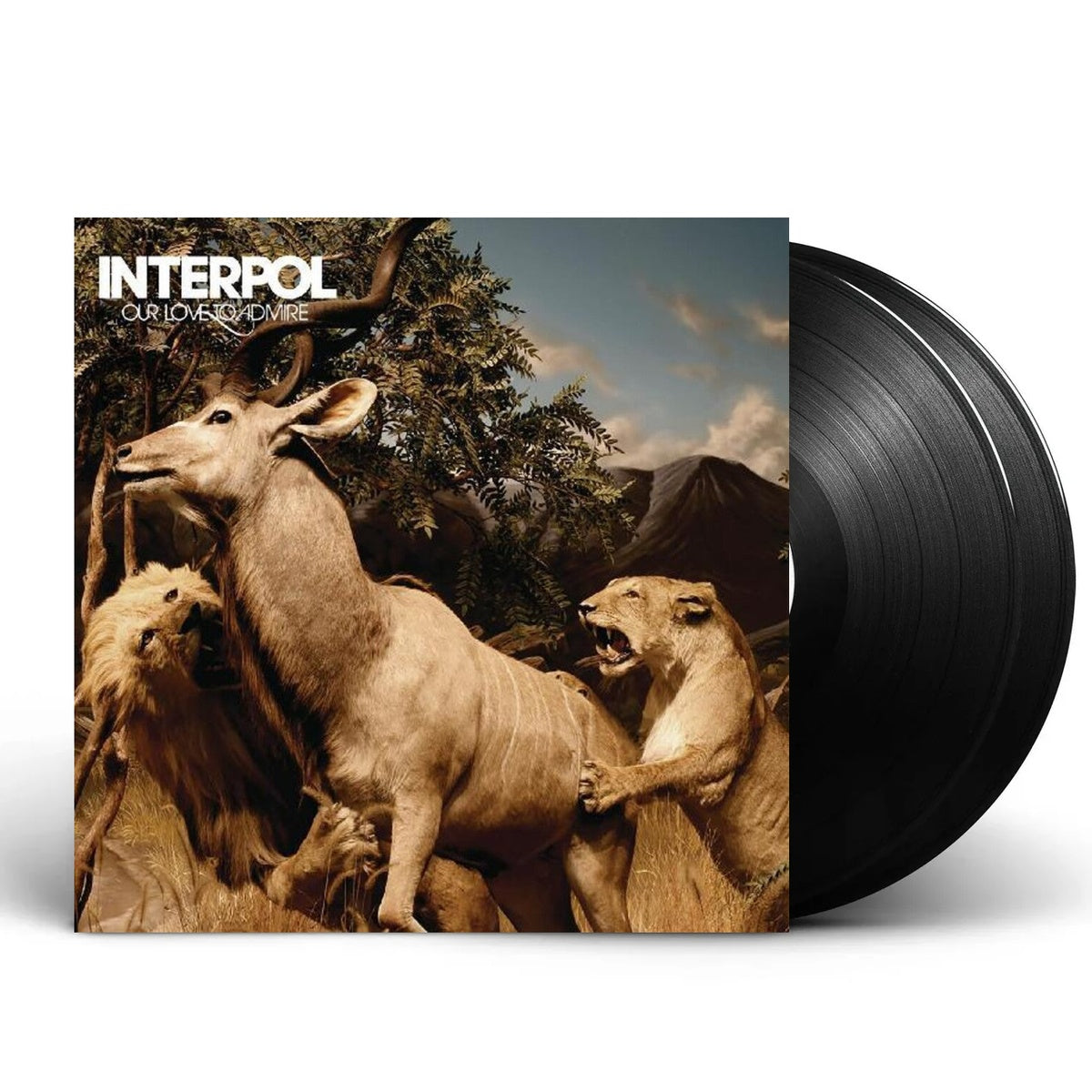 Packshot: Interpol – Our Love To Admire Vinyl LP | Relix