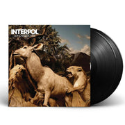 Packshot: Interpol – Our Love To Admire Vinyl LP | Relix
