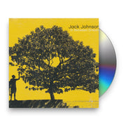 Packshot: Jack Johnson – In Between Dreams (CD) CD | Relix
