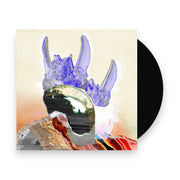 Packshot: Jadu Heart – Wanderflower / Ezra's Garden Vinyl LP | Relix