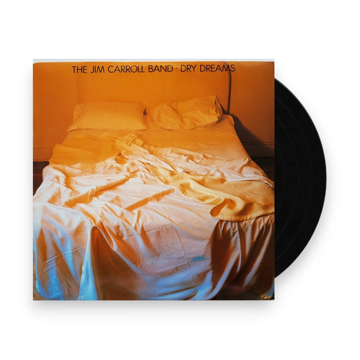 Packshot: Jim Band Carroll – Dry Dreams Vinyl LP | Relix