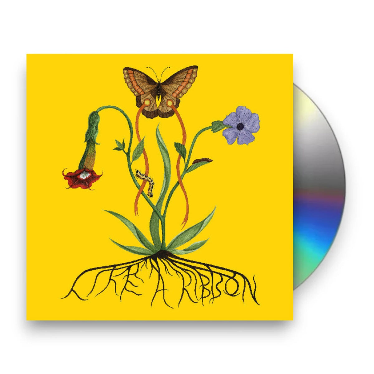 Packshot: John Glacier – Like A Ribbon CD | Relix