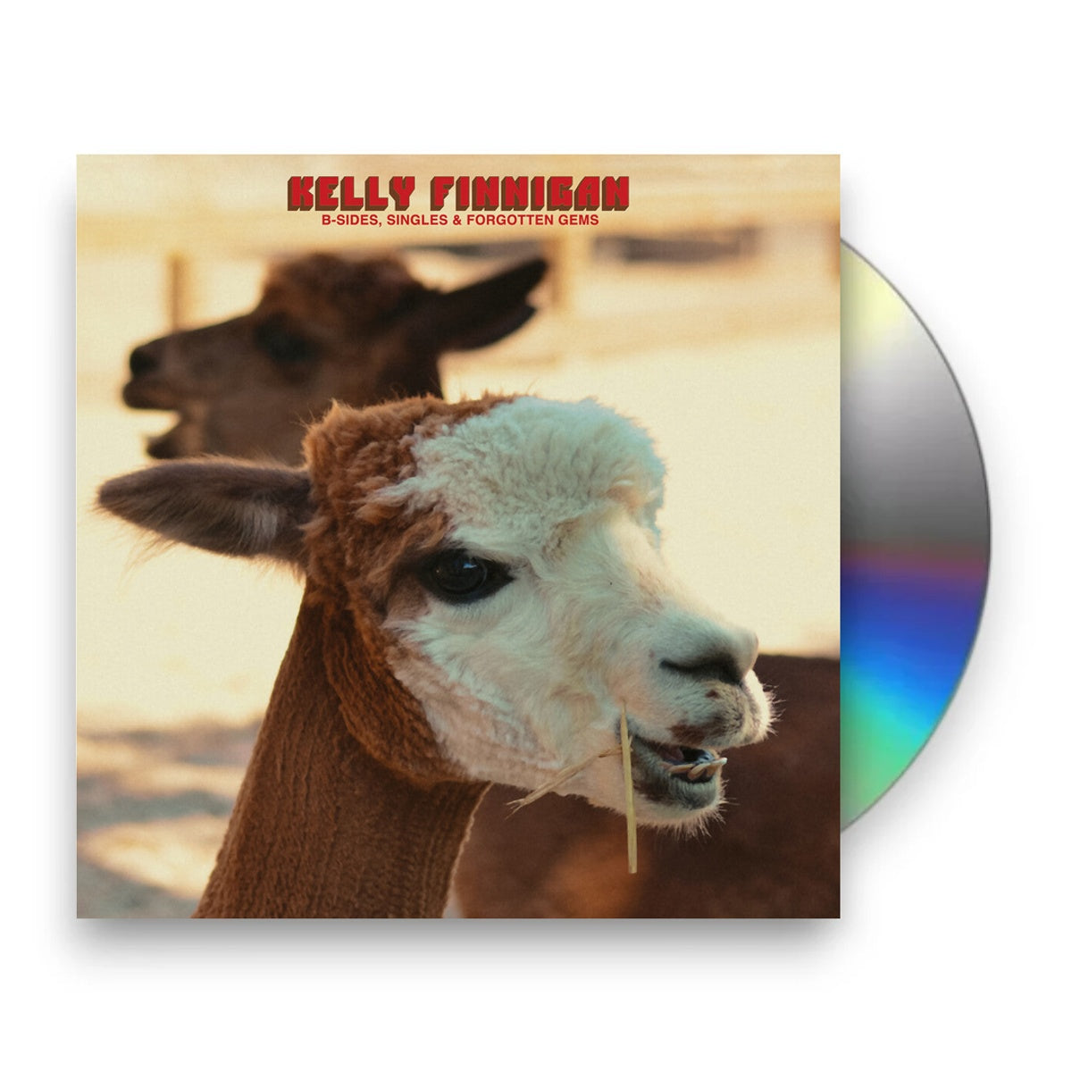 Packshot: Kelly Finnigan – B-Sides Singles & Forgotten Gems (CD) CD | Relix