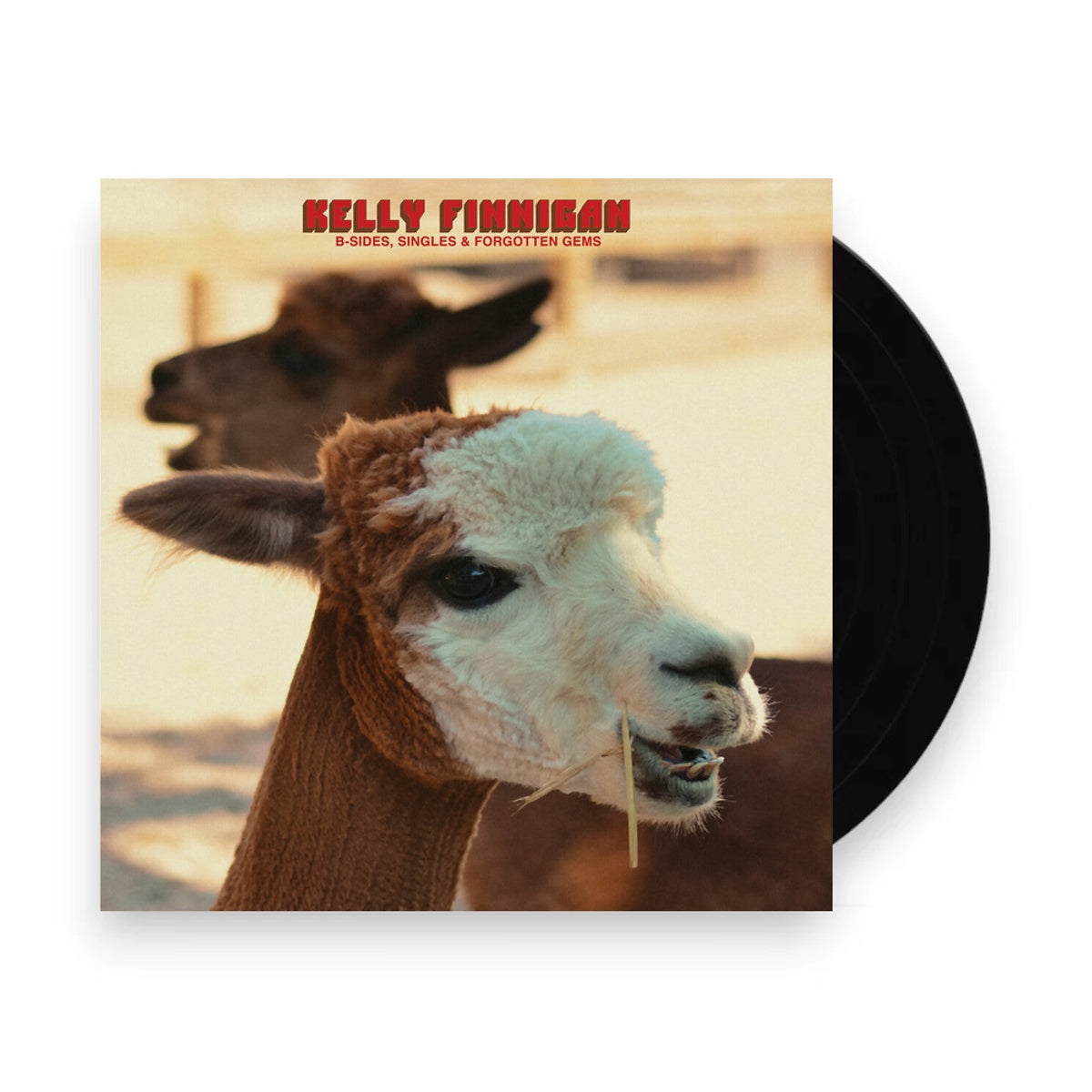 Packshot: Kelly Finnigan – B-Sides Singles & Forgotten Gems (LP Vinyl) Vinyl LP | Relix