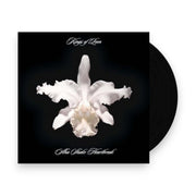 Packshot: Kings Of Leon – Aha Shake Heartbreak Vinyl LP | Relix