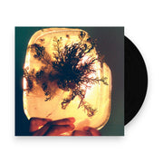 Packshot: L'Rain – Fata Morgana Vinyl LP | Relix