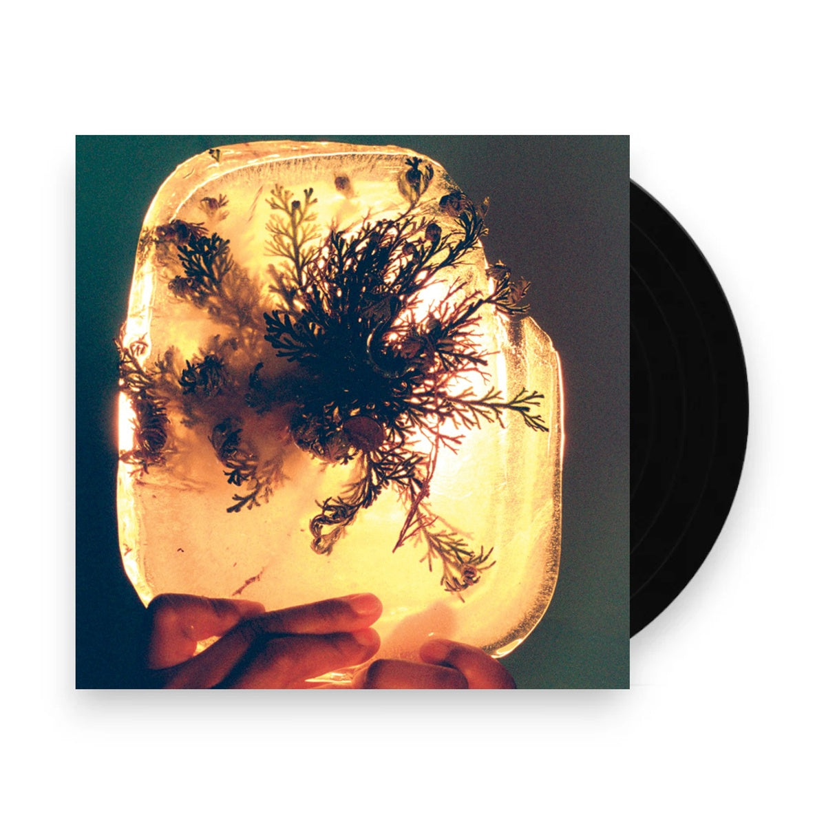 Packshot: L'Rain – Fata Morgana Vinyl LP | Relix