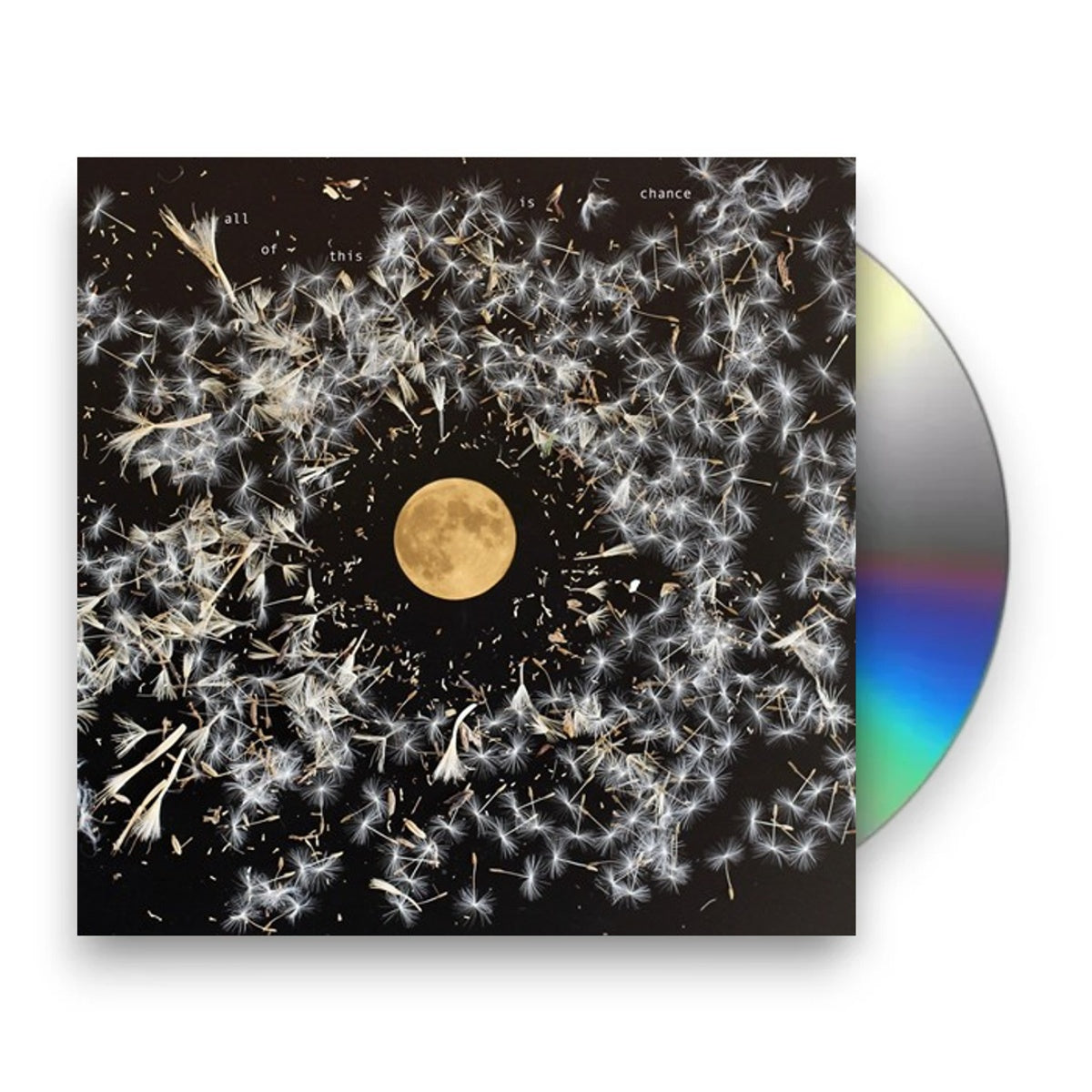 Packshot: Lisa O'Neill – All Of This Is Chance CD | Relix