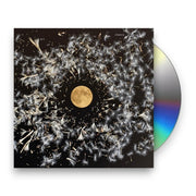 Packshot: Lisa O'Neill – All Of This Is Chance CD | Relix