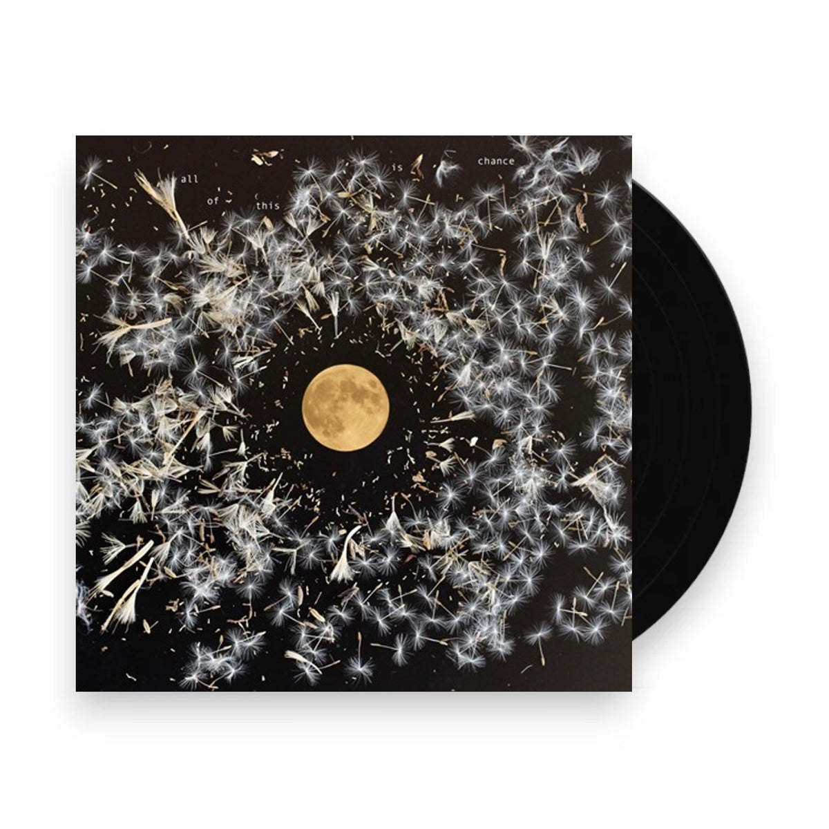 Packshot: Lisa O'Neill – All Of This Is Chance Vinyl LP | Relix