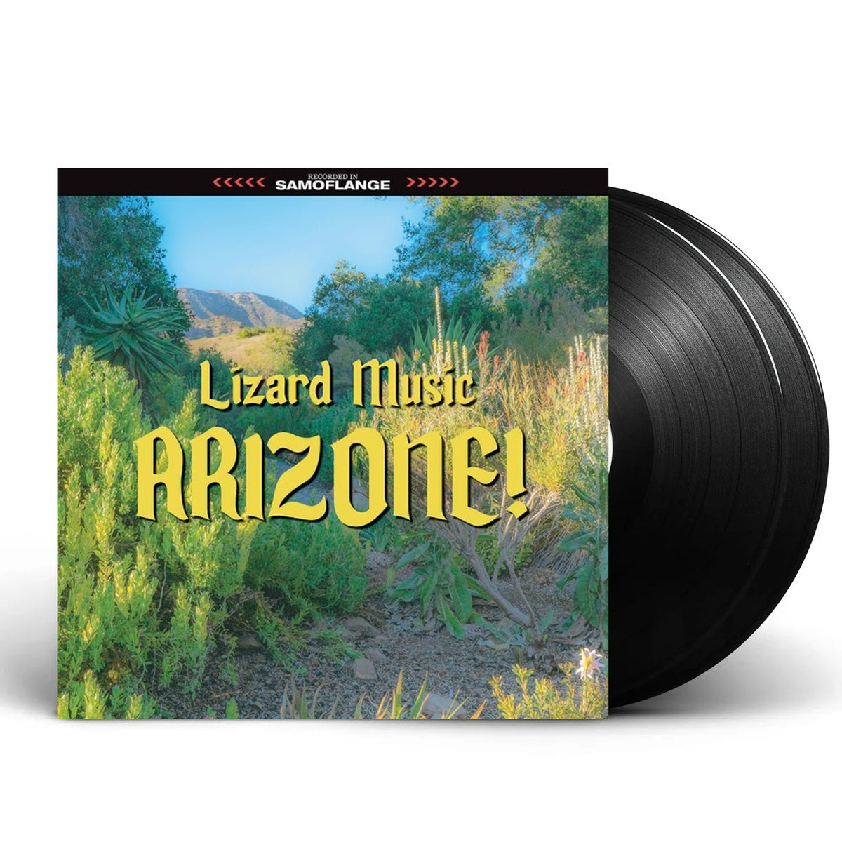 Packshot: Lizard Music – Arizone Vinyl LP | Relix