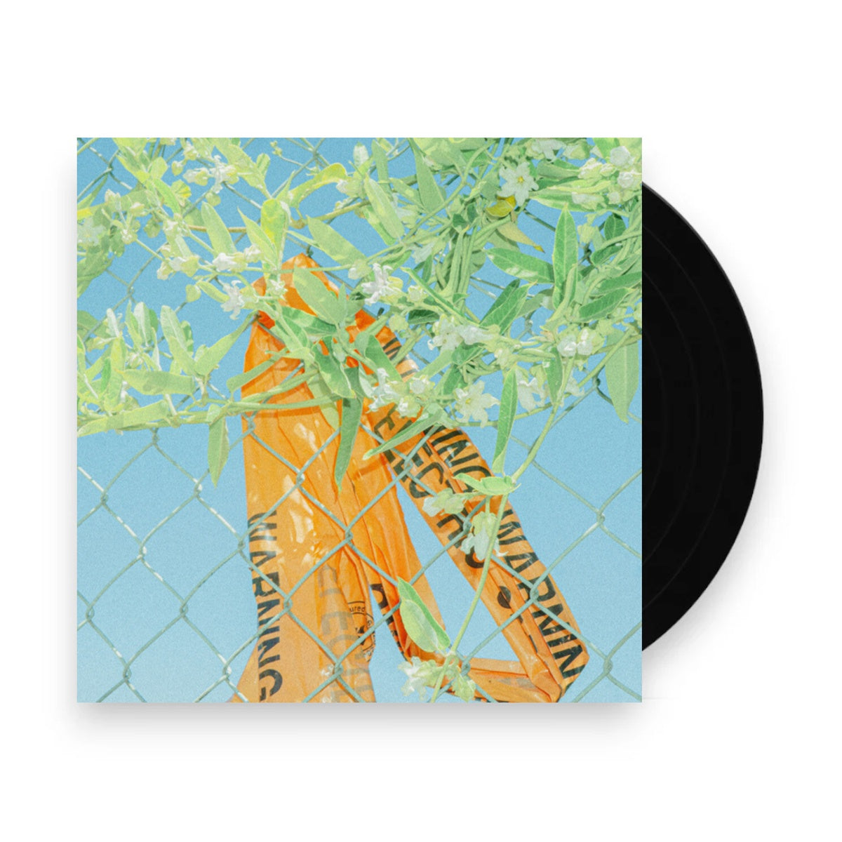Packshot: Lockstep – I Know What I Saw (Colored LP Vinyl) Vinyl LP | Relix