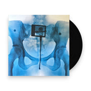 Packshot: Lorde – Virgin (Bathwater LP Vinyl) Vinyl LP | Relix