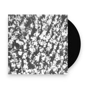 Packshot: Michael Nau – Popfly (Colored, Grn LP Vinyl) Vinyl LP | Relix