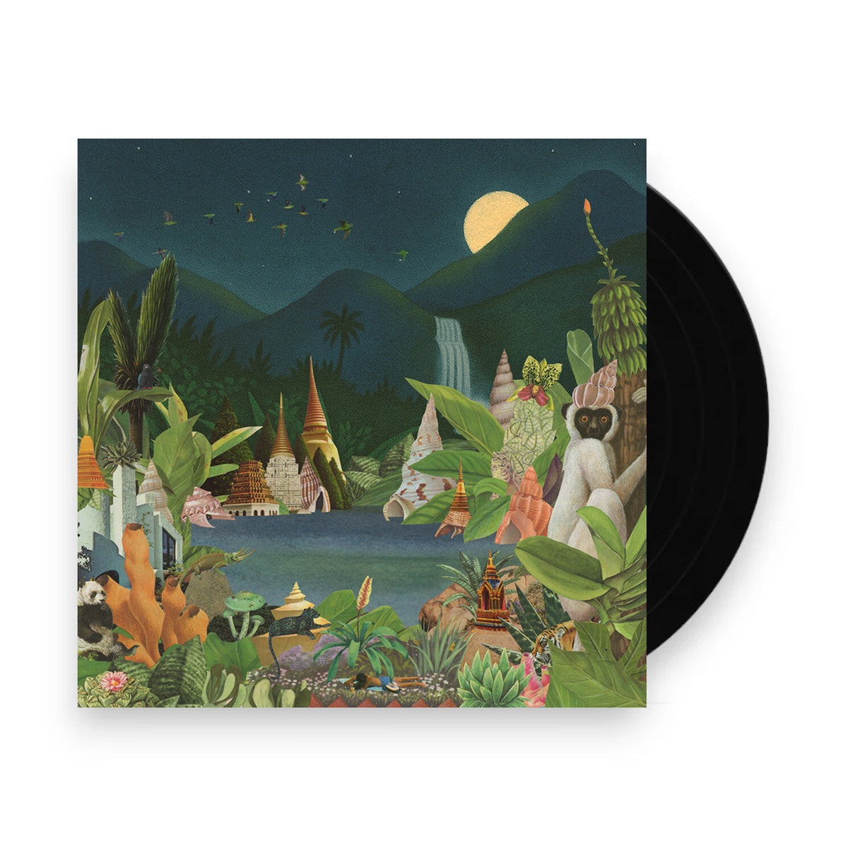 Packshot: Monster Rally – Echoes Of The Emerald Sands (Colored LP Vinyl) Vinyl LP | Relix