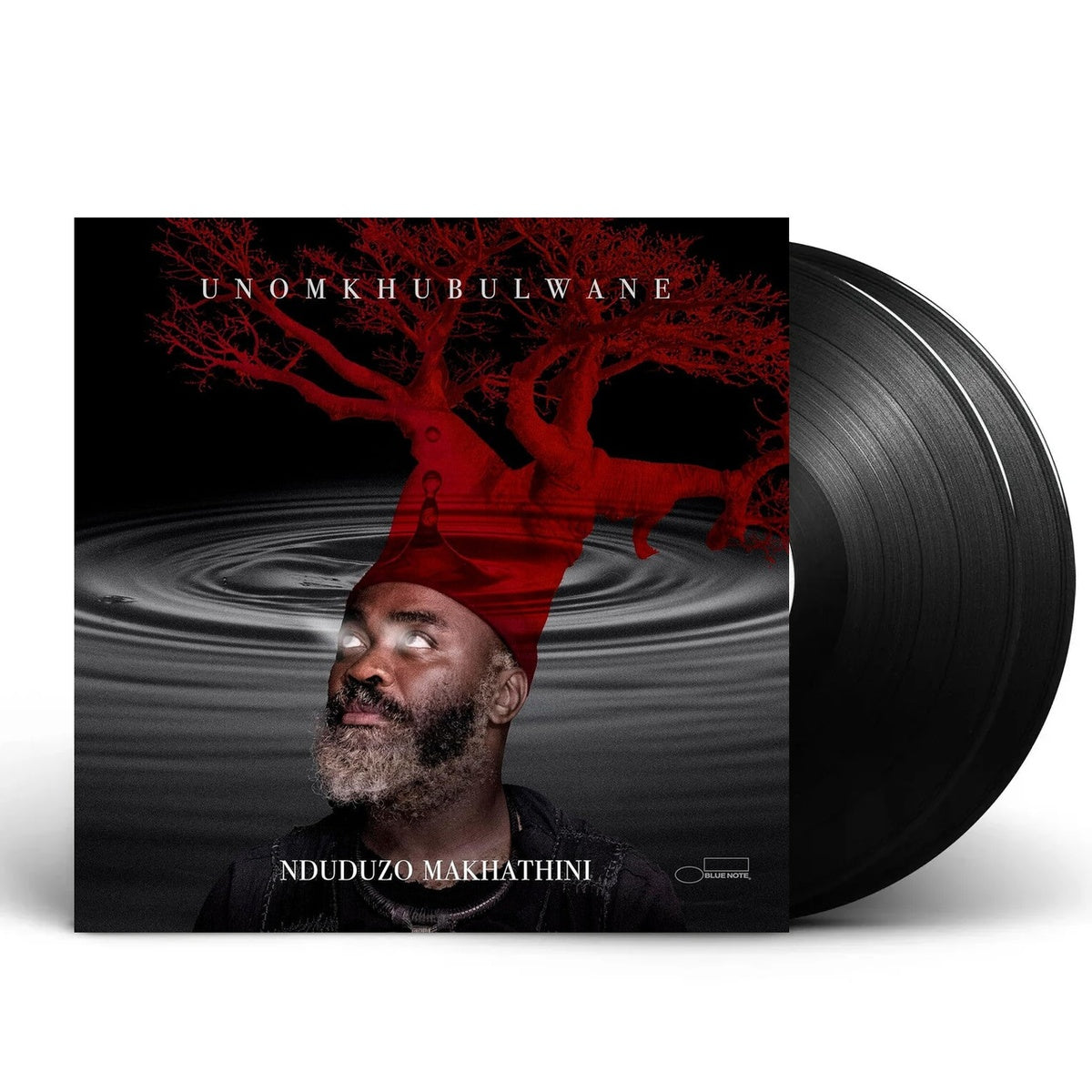 Packshot: Nduduzo Makhathini – Unomkhubulwane Vinyl LP | Relix