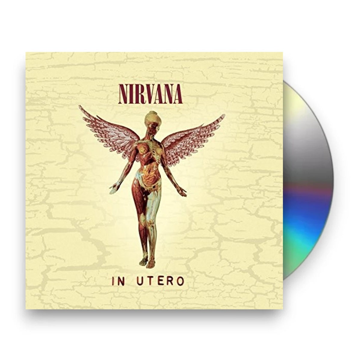 Packshot: Nirvana – In Utero: 20th Anniversary (Remastered CD) CD | Relix