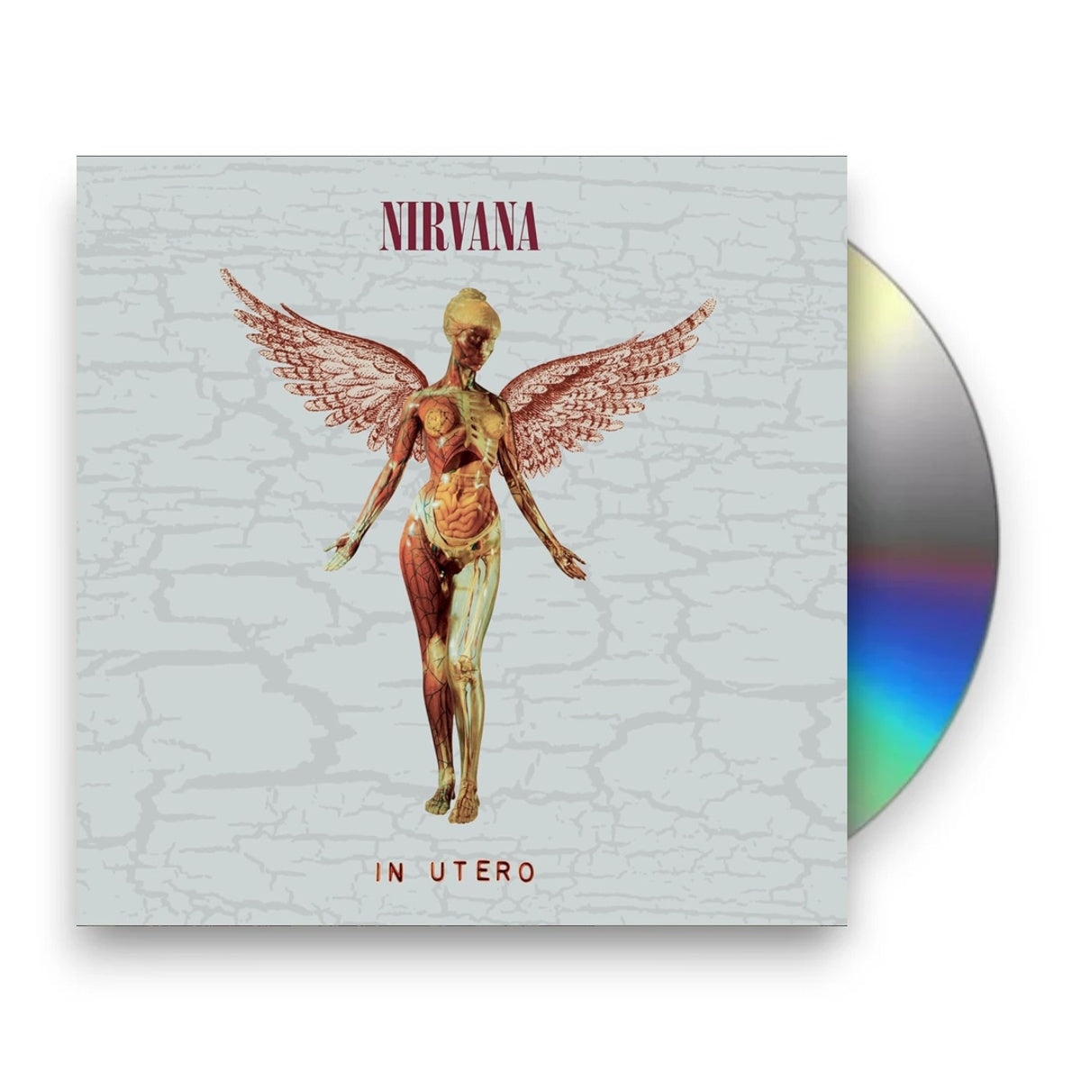 Packshot: Nirvana – In Utero 30th (2-CD) CD | Relix