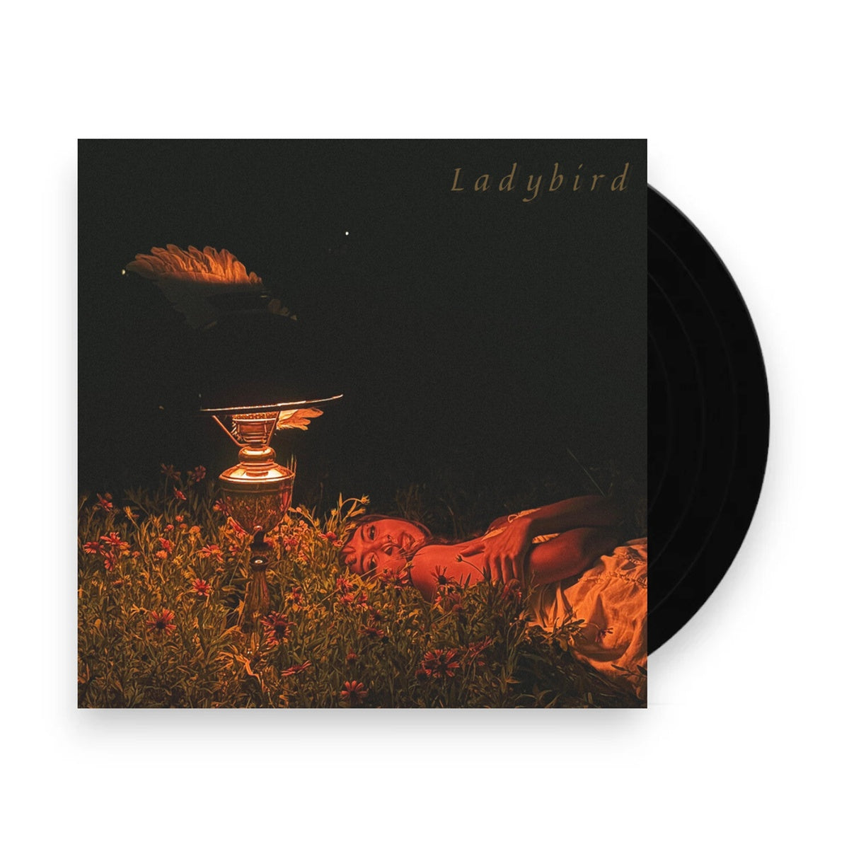 Packshot: Orca – Ladybird EP (LP Vinyl) Vinyl LP | Relix