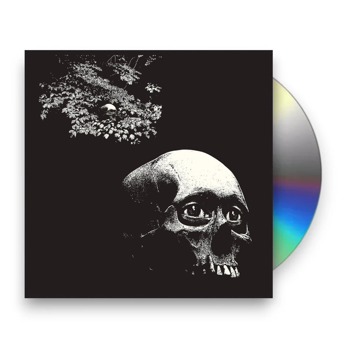 Packshot: Osees – Foul Form CD | Relix