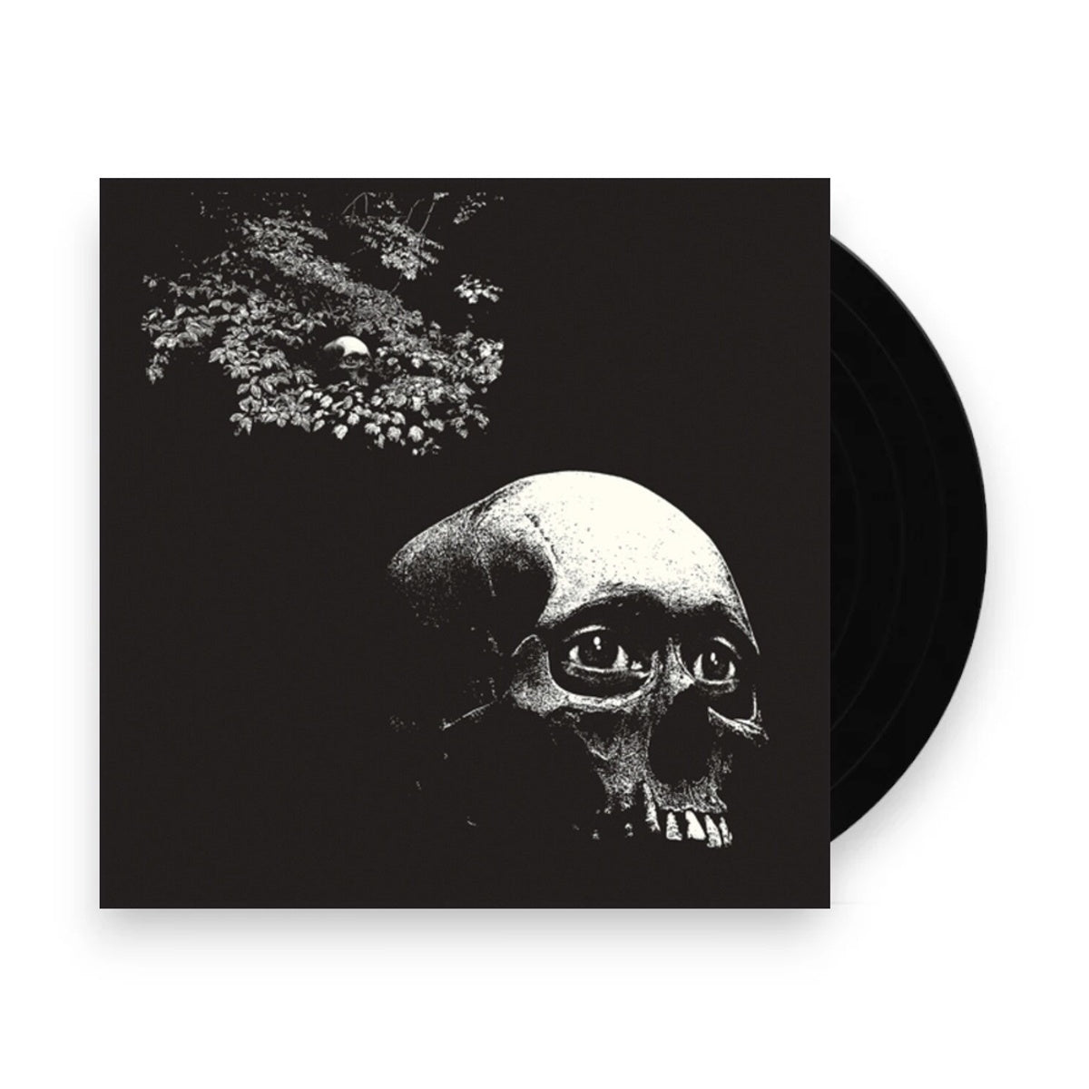 Packshot: Osees – Foul Form Vinyl LP | Relix