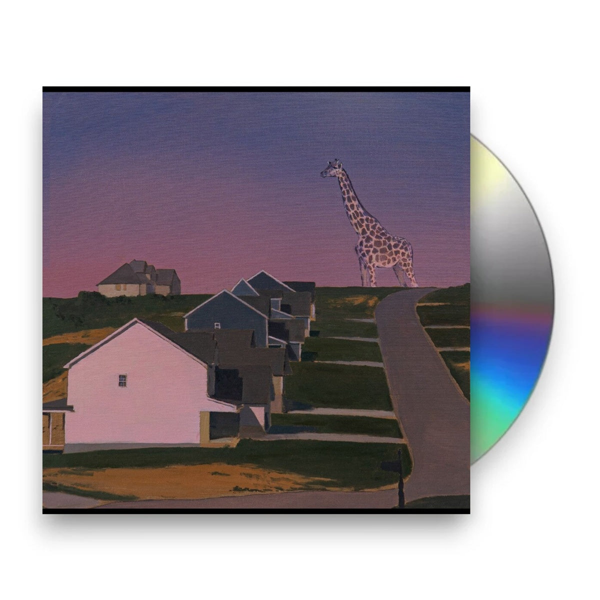Packshot: Oso Oso – Exchange Of Information (CD) CD | Relix