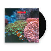 Packshot: Pærish (Paerish) – You're In Both Dreams (And You're Scared LP Vinyl) Vinyl LP | Relix