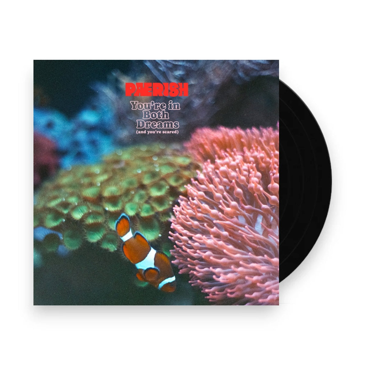 Packshot: Pærish (Paerish) – You're In Both Dreams (And You're Scared LP Vinyl) Vinyl LP | Relix