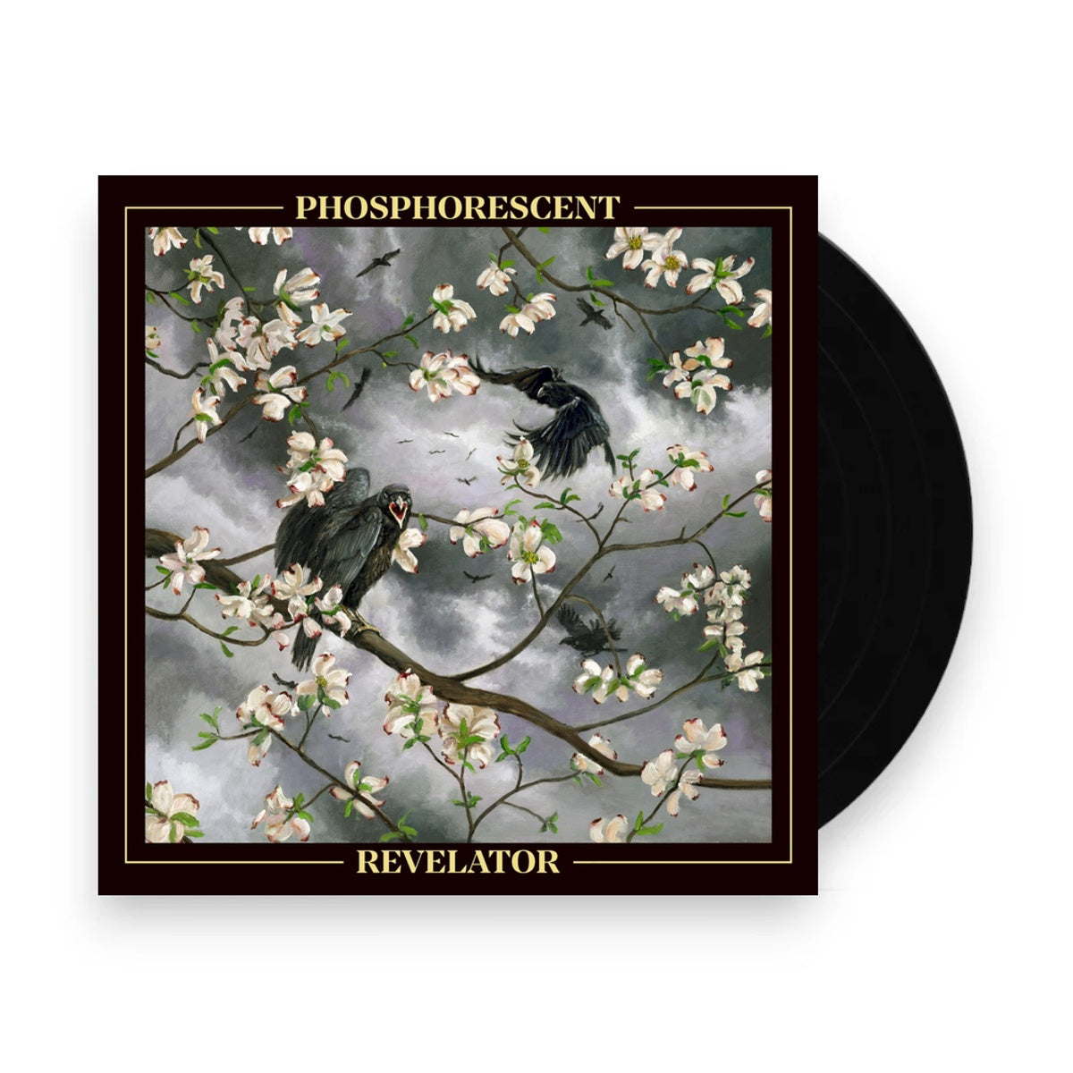 Packshot: Phosphorescent – Revelator Vinyl LP | Relix