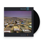 Packshot: Pink Floyd – A Momentary Lapse of Reason (LP Vinyl) Vinyl LP | Relix